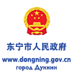Дуннин